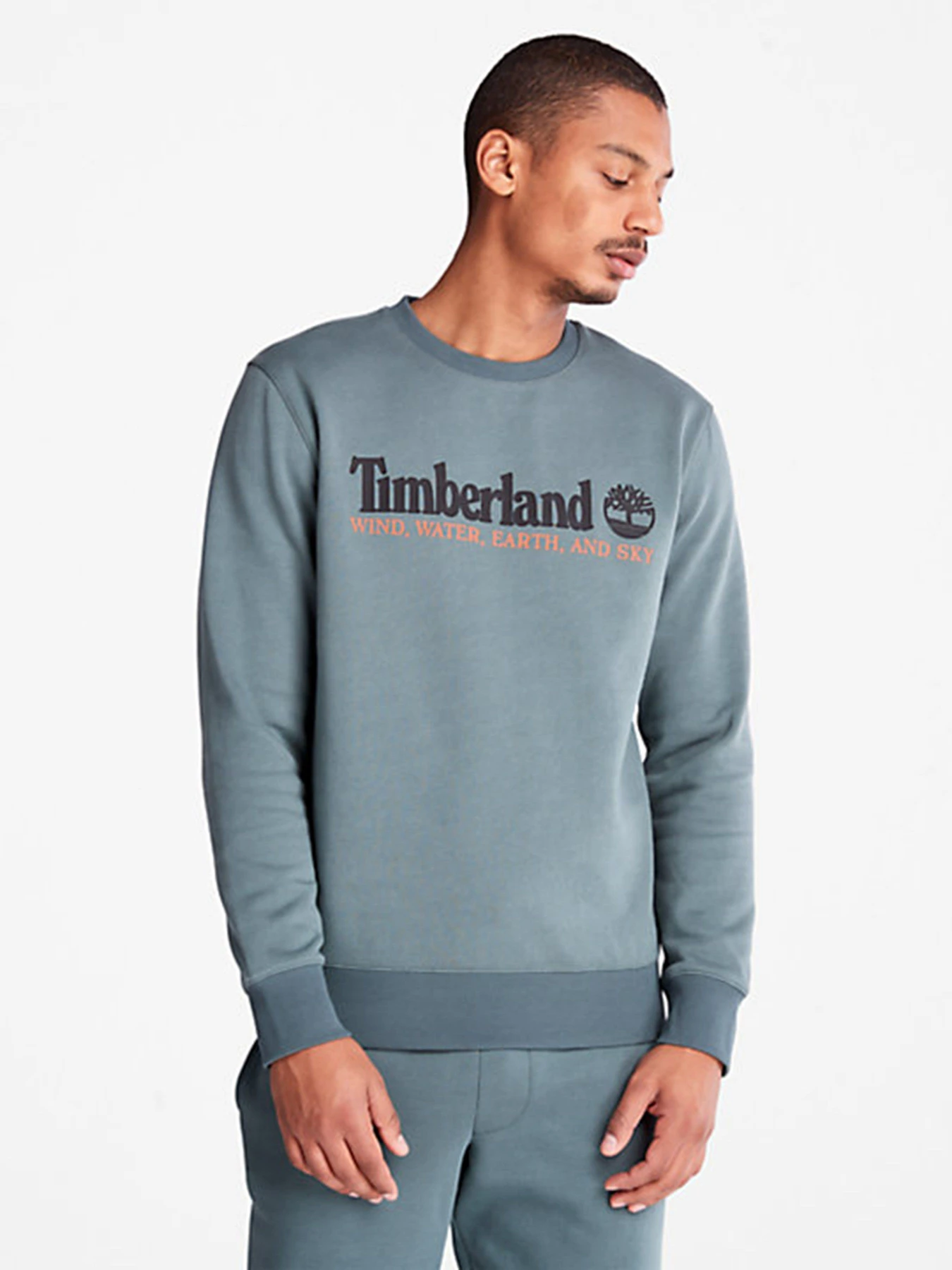 Худи и свитшоты Timberland Wind, Water, Earth And Sky Crewneck модель TB0A27HC392 Худи и свитшоты Timberland Wind, Water, Earth And Sky Crewneck модель TB0A27HC392 Фото