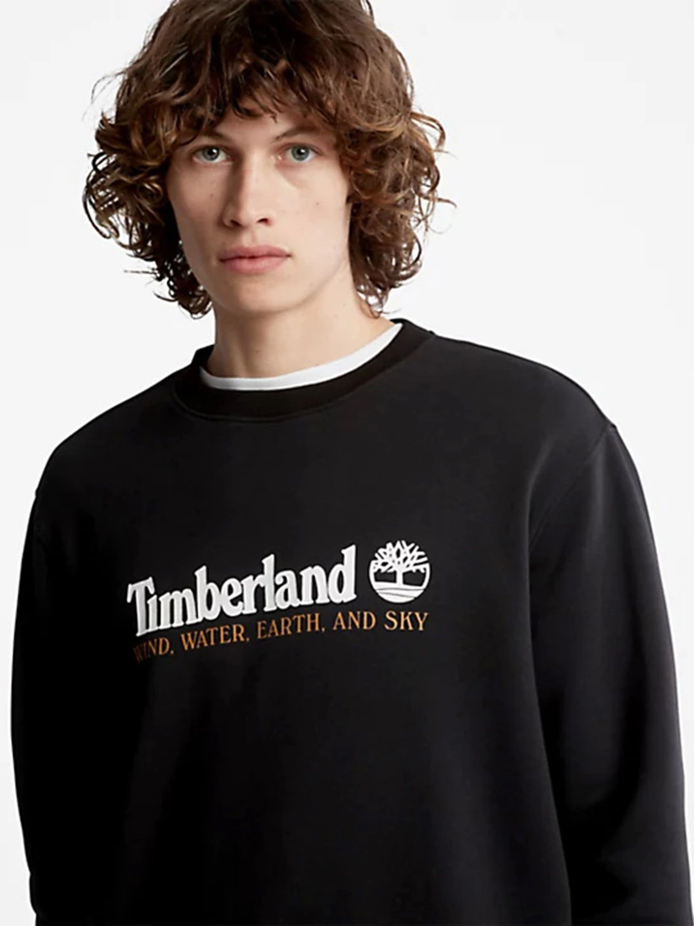 Худі та світшоти Timberland Wind, Water, Earth and Sky™ модель TB0A27HC001 Худі та світшоти Timberland Wind, Water, Earth and Sky™ модель TB0A27HC001 Фото