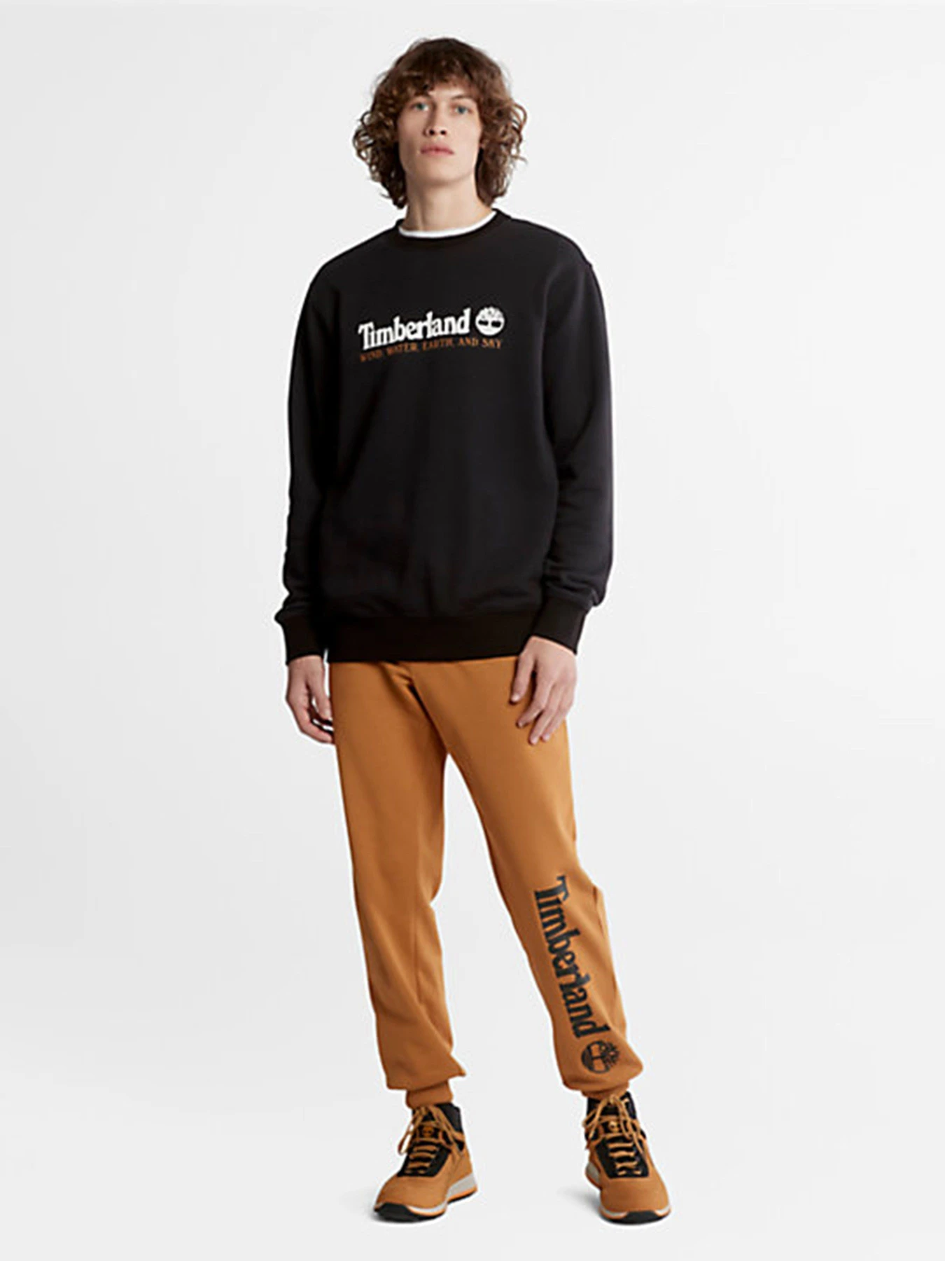 Худі та світшоти Timberland Wind, Water, Earth and Sky™ модель TB0A27HC001 Худі та світшоти Timberland Wind, Water, Earth and Sky™ модель TB0A27HC001 Фото