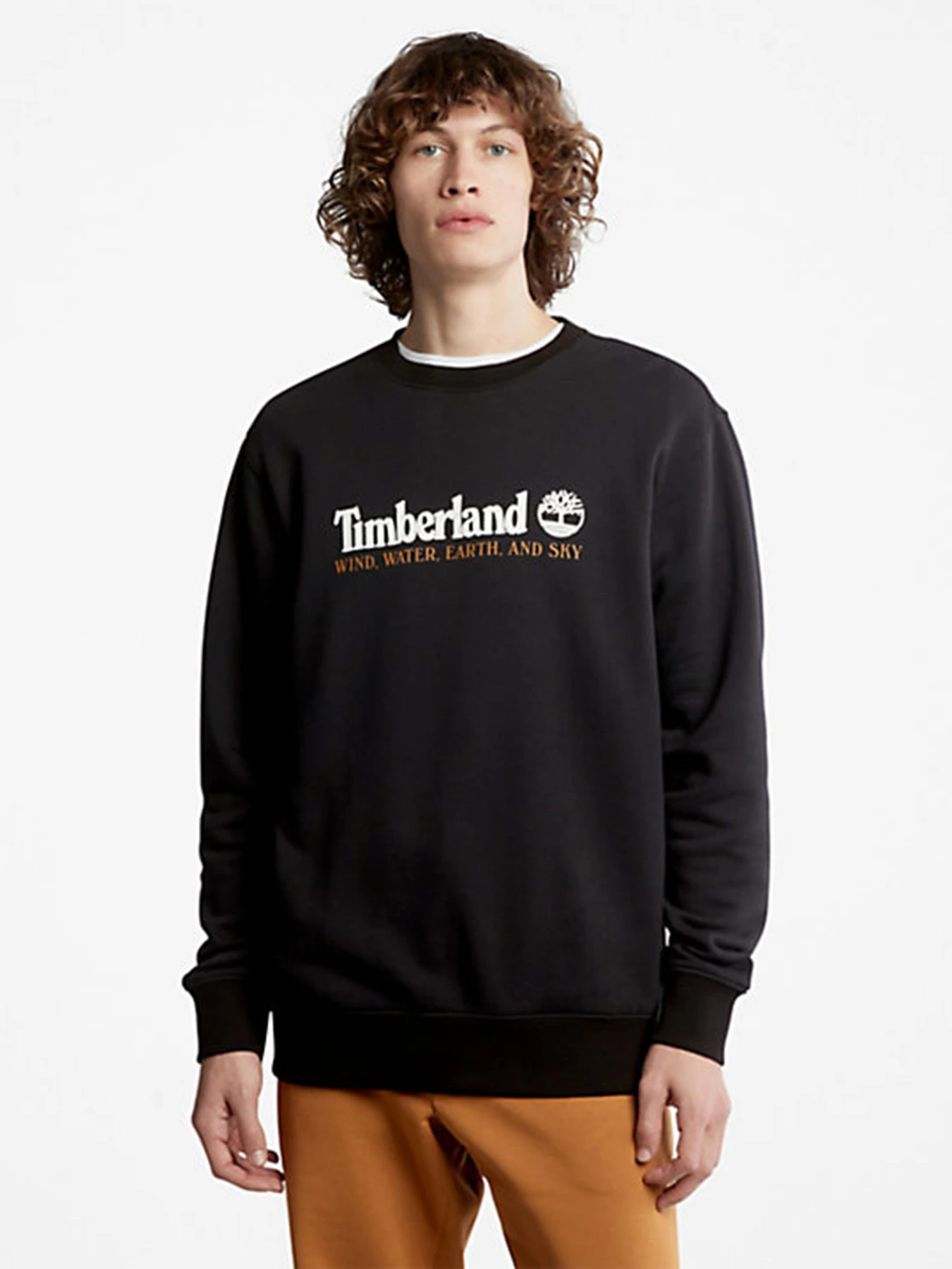Худі та світшоти Timberland Wind, Water, Earth and Sky™ модель TB0A27HC001 Худі та світшоти Timberland Wind, Water, Earth and Sky™ модель TB0A27HC001 Фото