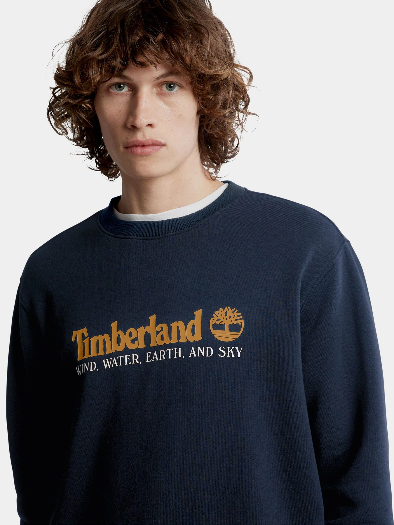 Худи и свитшоты Timberland Wind, Water, Earth And Sky Crewneck модель TB0A27HC433 Худи и свитшоты Timberland Wind, Water, Earth And Sky Crewneck модель TB0A27HC433 Фото