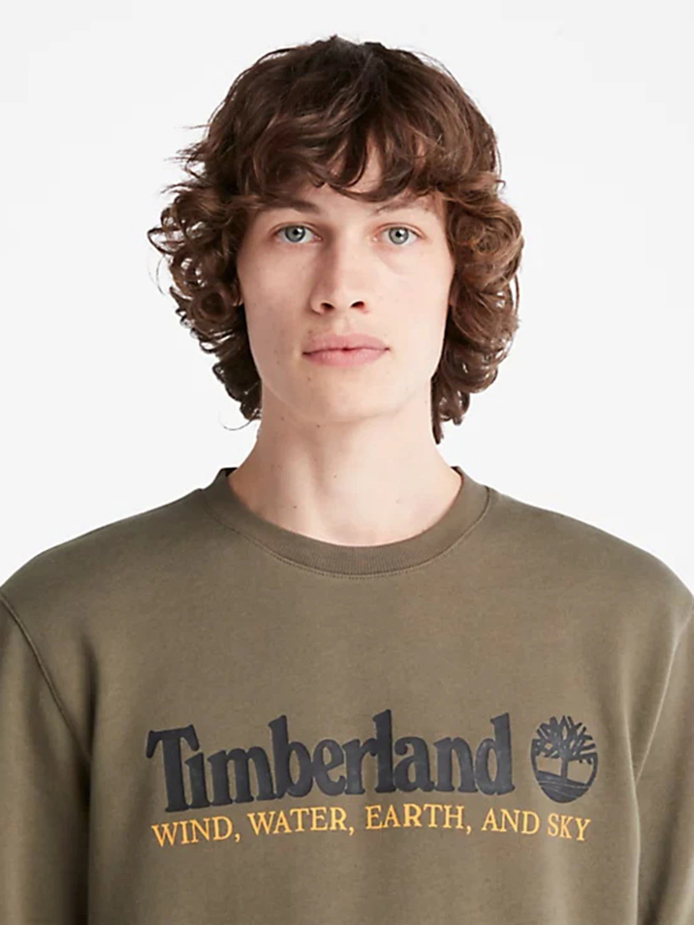 Худи и свитшоты Timberland Wind, Water, Earth and Sky™ модель TB0A27HCA58 Худи и свитшоты Timberland Wind, Water, Earth and Sky™ модель TB0A27HCA58 Фото