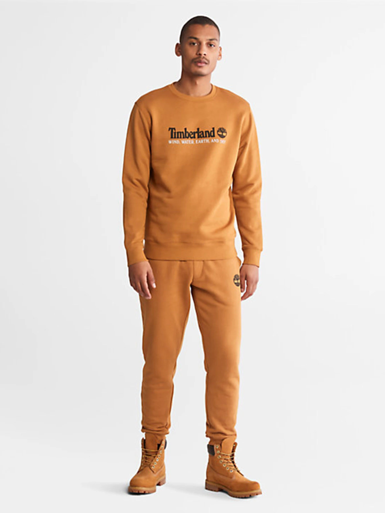 Худі та світшоти Timberland Wind, Water, Earth and Sky™ модель TB0A27HCP47 Худі та світшоти Timberland Wind, Water, Earth and Sky™ модель TB0A27HCP47 Фото