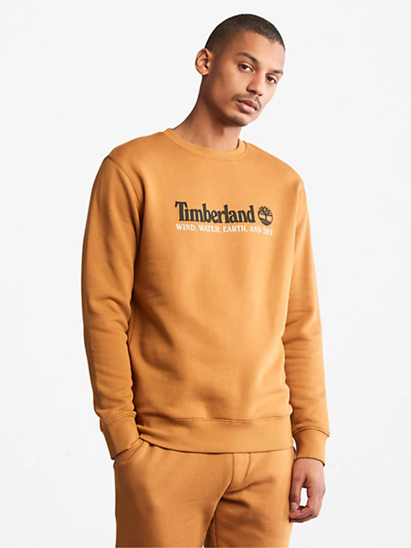 Худі та світшоти Timberland Wind, Water, Earth and Sky™ модель TB0A27HCP47 Худі та світшоти Timberland Wind, Water, Earth and Sky™ модель TB0A27HCP47 Фото