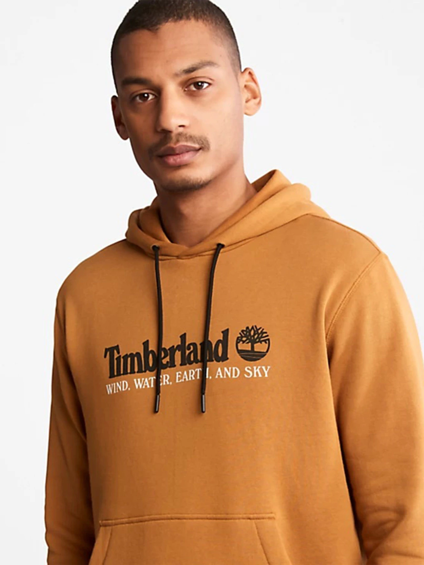 Худи и свитшоты Timberland Wind, Water, Earth, and Sky модель TB0A27HNP47 Худи и свитшоты Timberland Wind, Water, Earth, and Sky модель TB0A27HNP47 Фото