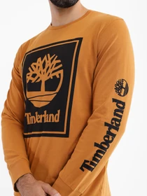 Худі та світшоти Timberland Stack Logo модель TB0A6CCEP57 Фото