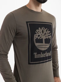 Худи и свитшоты Timberland модель TB0A6CCEZ28 Фото