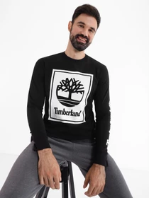 Худи и свитшоты Timberland Stack Logo модель TB0A6CCEN92 Фото