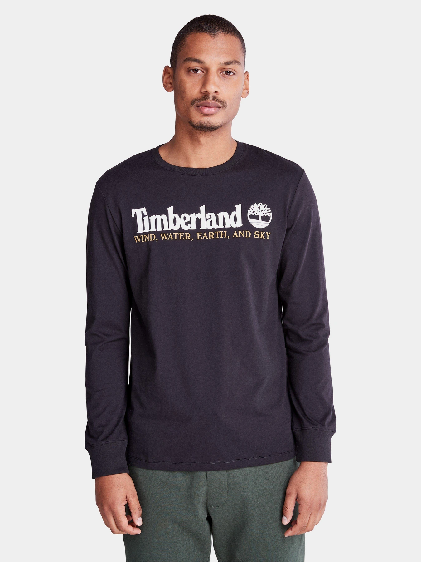 Худі та світшоти Timberland Wind, Water, Earth And Sky модель TB0A5VM1001 Худі та світшоти Timberland Wind, Water, Earth And Sky модель TB0A5VM1001 Фото
