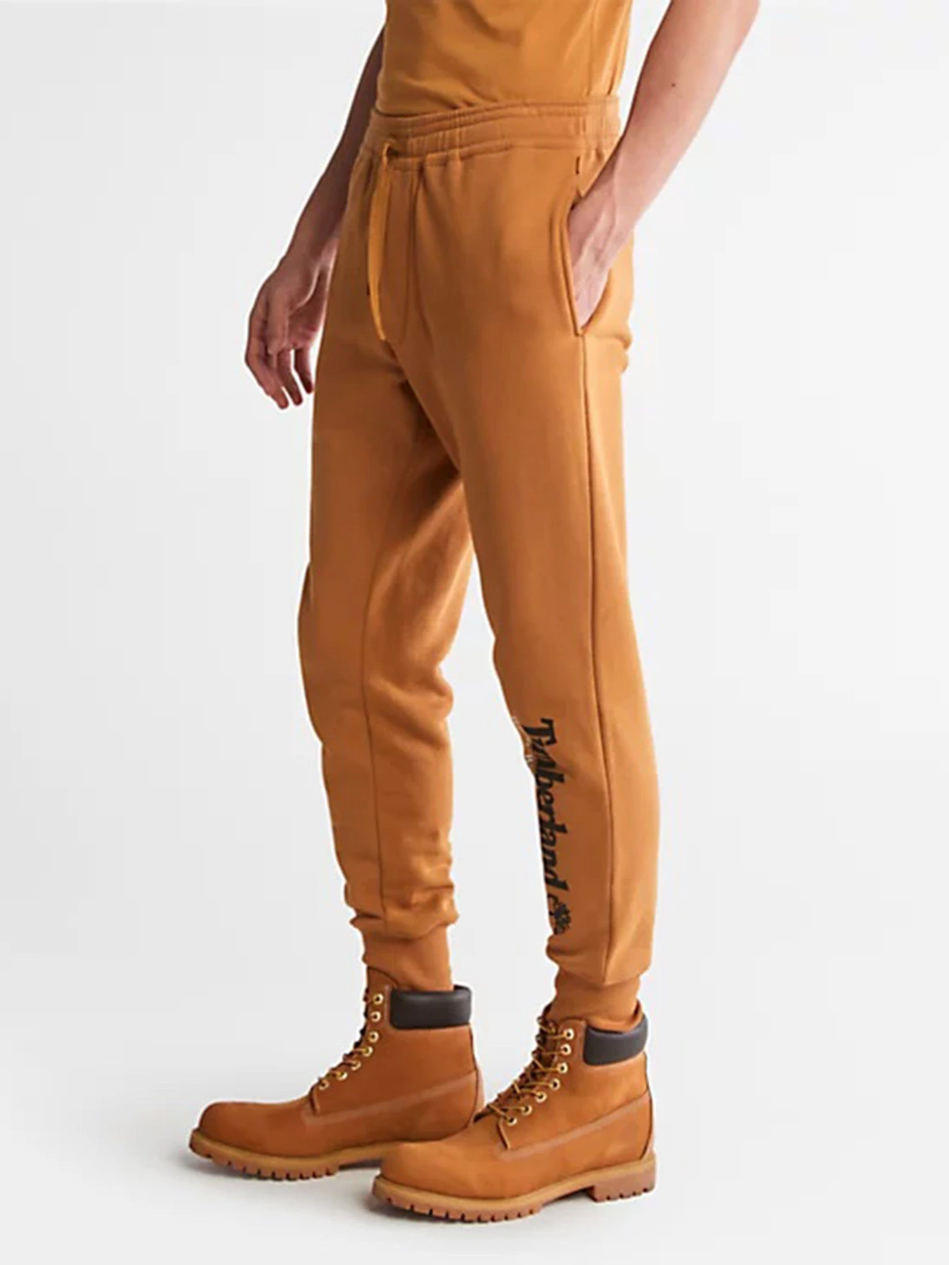 Брюки Timberland Wind, Water, Earth, And Sky Tracksuit Bottoms модель TB0A27HYP47 Фото