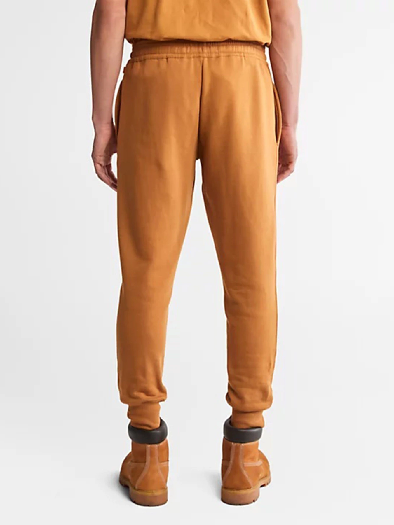 Брюки Timberland Wind, Water, Earth, And Sky Tracksuit Bottoms модель TB0A27HYP47 Фото