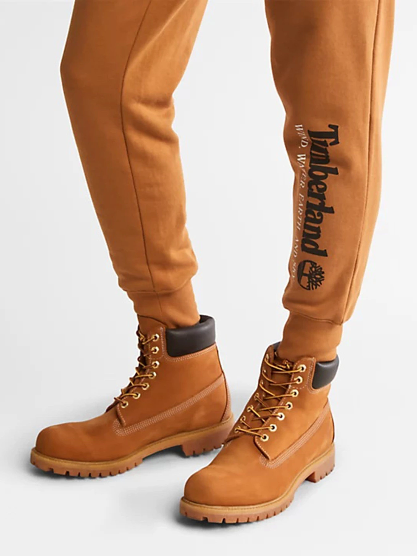 Брюки Timberland Wind, Water, Earth, And Sky Tracksuit Bottoms модель TB0A27HYP47 Фото