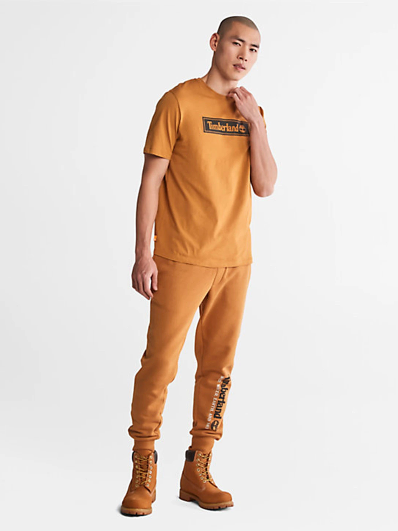 Брюки Timberland Wind, Water, Earth, And Sky Tracksuit Bottoms модель TB0A27HYP47 Фото
