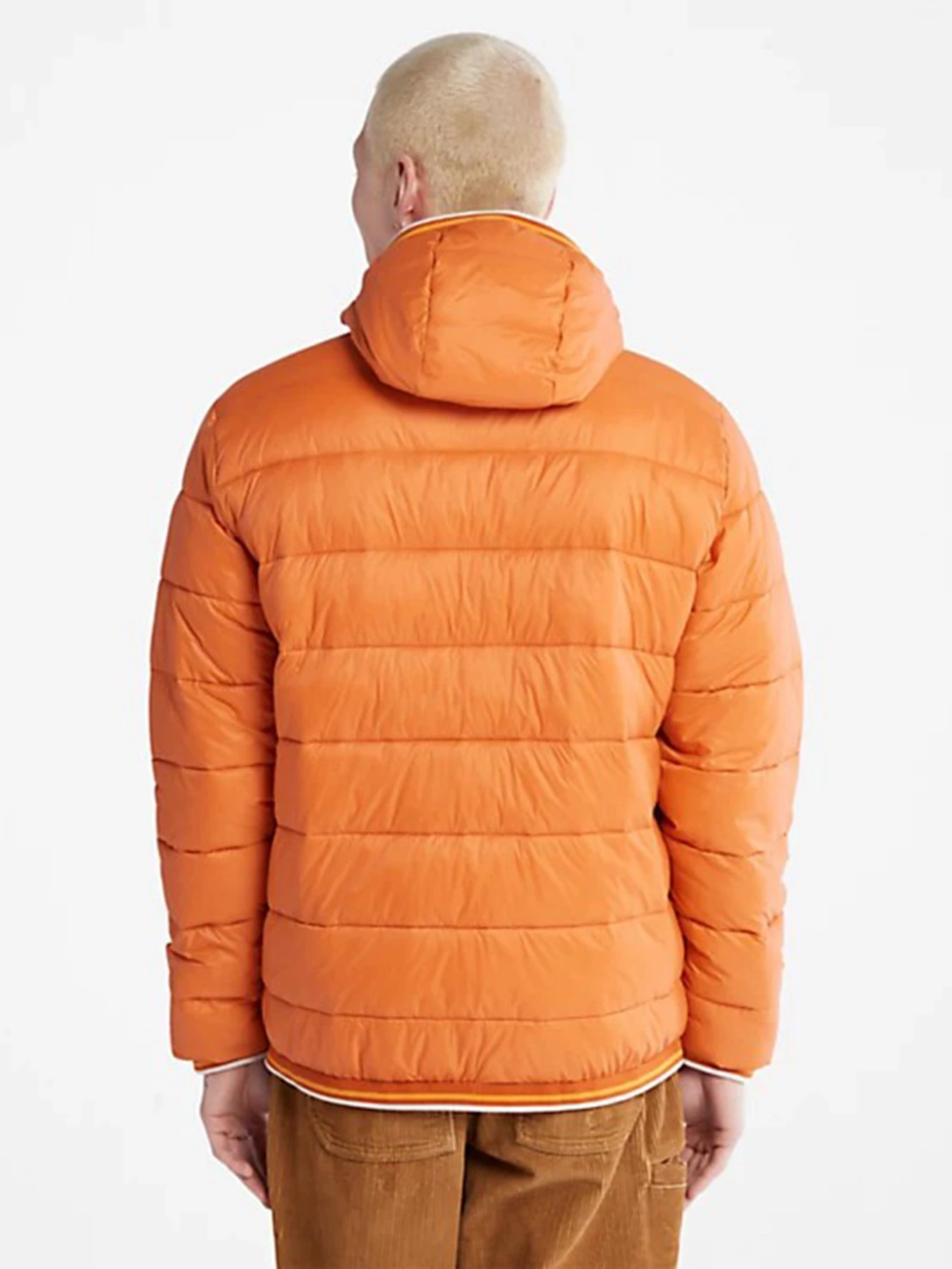 Куртки та дублянки Timberland Garfield модель TB0A2GA1643 Фото