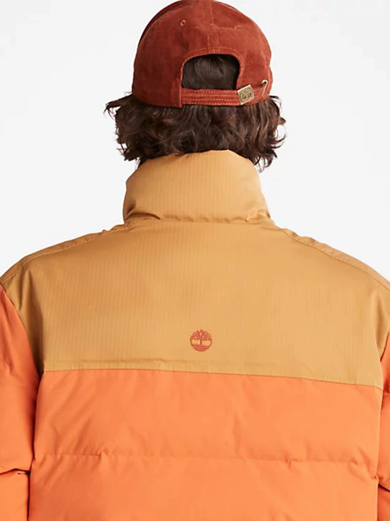 Куртки и дубленки Timberland Acolchoado Welch Mountain модель TB0A22XBDA1 Фото
