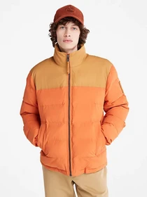 Куртки и дубленки Timberland Acolchoado Welch Mountain модель TB0A22XBDA1 Фото