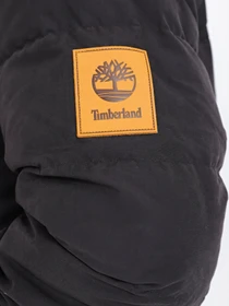 Куртки и дубленки Timberland WELCH MOUNTAIN модель TB0A5XTN001 Фото