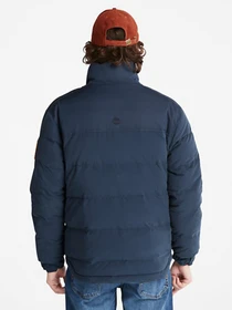Куртки и дубленки Timberland  Welch Mountain модель TB0A5XTN433 Фото