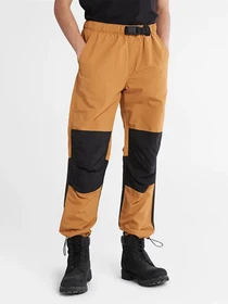 Брюки Timberland ALL GENDER модель TB0A5V9DP47 Фото
