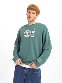 Худі та світшоти Timberland Re-Comfort Crewneck EK+ модель TB0A2G28J74 Фото