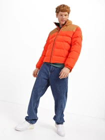 Куртки и дубленки Timberland Welch Mountain модель TB0A22XBCB5 Фото