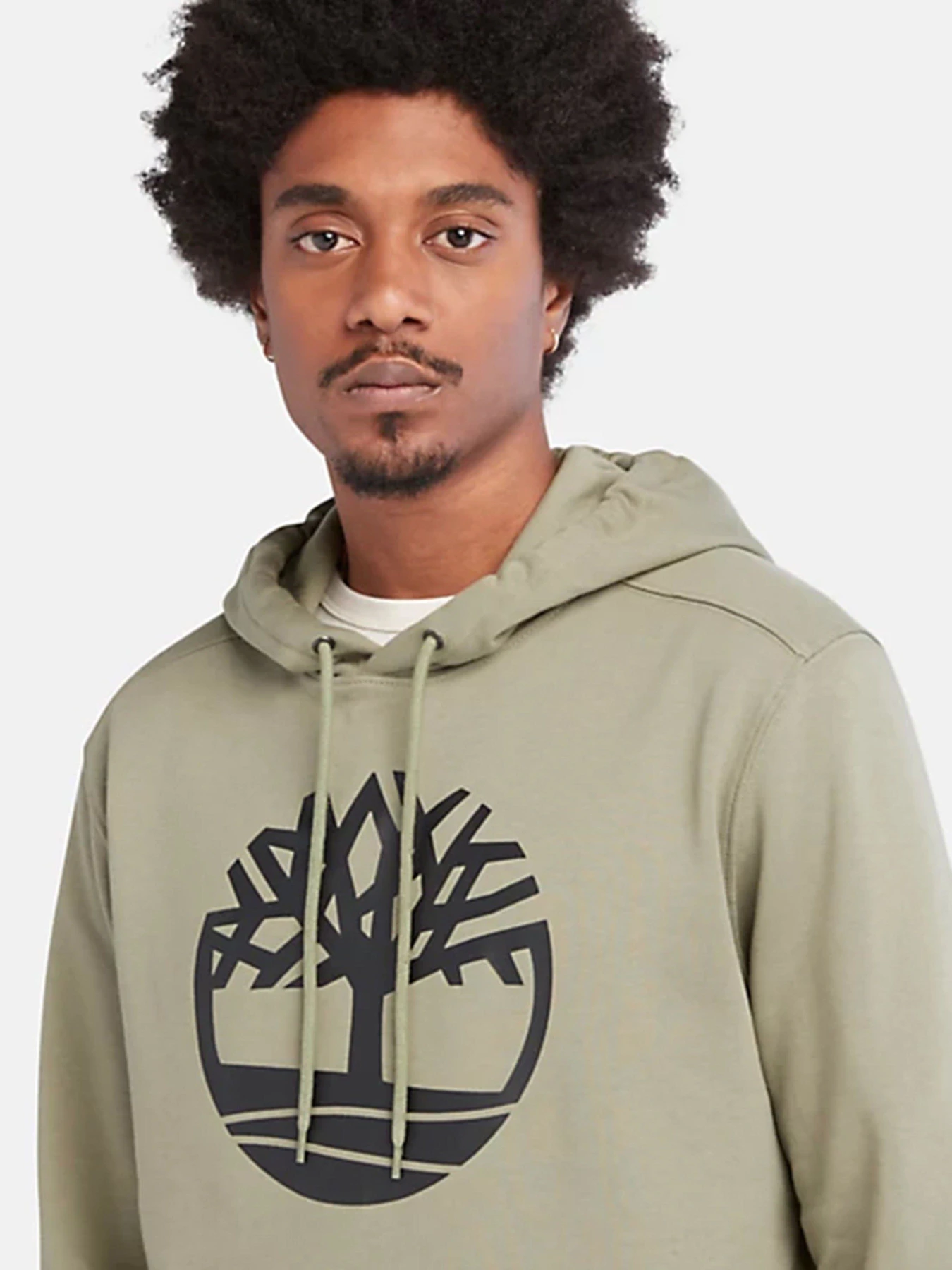 Худі та світшоти Timberland Core Tree Logo модель TB0A2BJHCN8 Фото