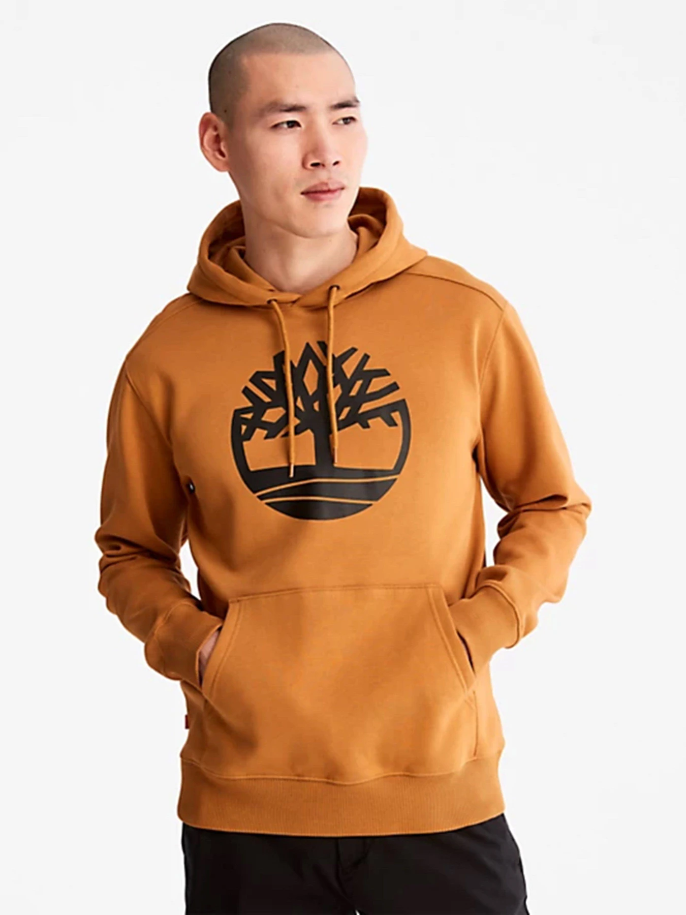 Худі та світшоти Timberland Core Tree Logo модель TB0A2BJHP57 Фото