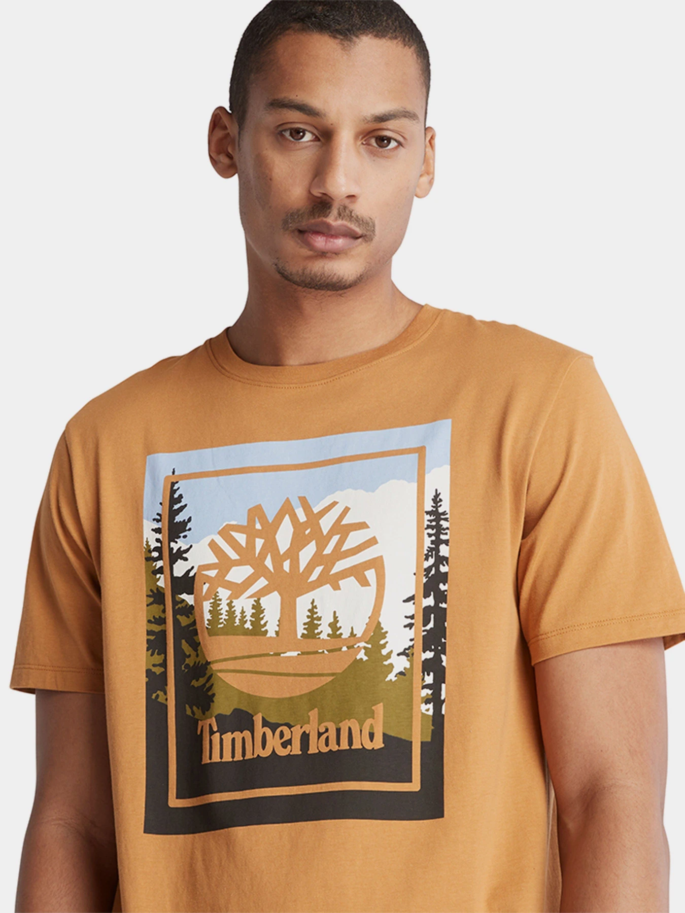 Футболки и поло Timberland SS OUTDOOR INSPIRED GRAPHIC модель TB0A6F4KP47 Футболки и поло Timberland SS OUTDOOR INSPIRED GRAPHIC модель TB0A6F4KP47 Фото