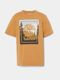 Футболки и поло Timberland SS OUTDOOR INSPIRED GRAPHIC модель TB0A6F4KP47 Фото