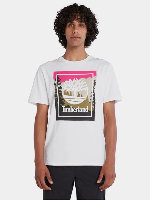 Футболки і поло Timberland SS OUTDOOR INSPIRED GRAPHIC модель TB0A6F4K100 Фото