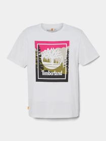 Футболки и поло Timberland SS OUTDOOR INSPIRED GRAPHIC модель TB0A6F4K100 Фото