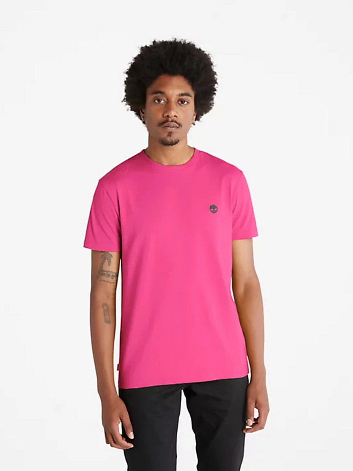 Футболки и поло Timberland SS Dunstan River Jersey модель TB0A2BPRA45 Фото