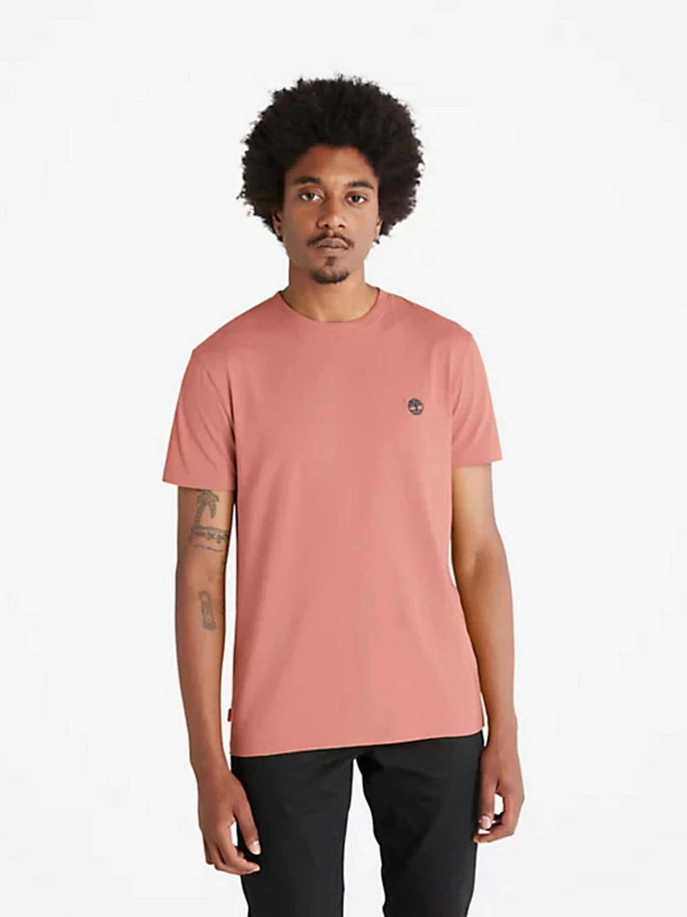 Футболки і поло Timberland SS Dunstan River Jersey модель TB0A2BPRDJ1 Футболки і поло Timberland SS Dunstan River Jersey модель TB0A2BPRDJ1 Фото