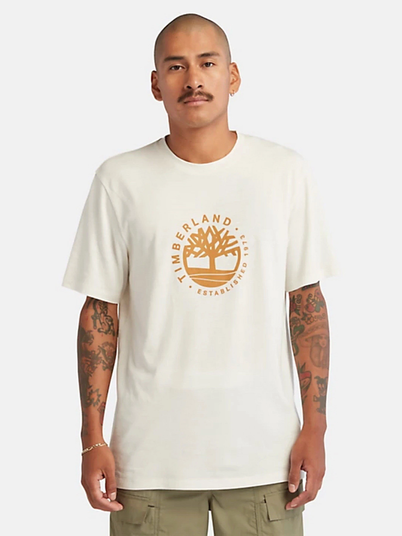 Футболки і поло Timberland Refibra Logo Graphic модель TB0A65XSCM9 Фото