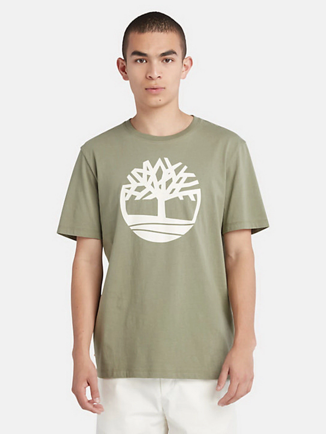 Футболки і поло Timberland Kennebec River Tree Logo модель TB0A2C2R590 Фото