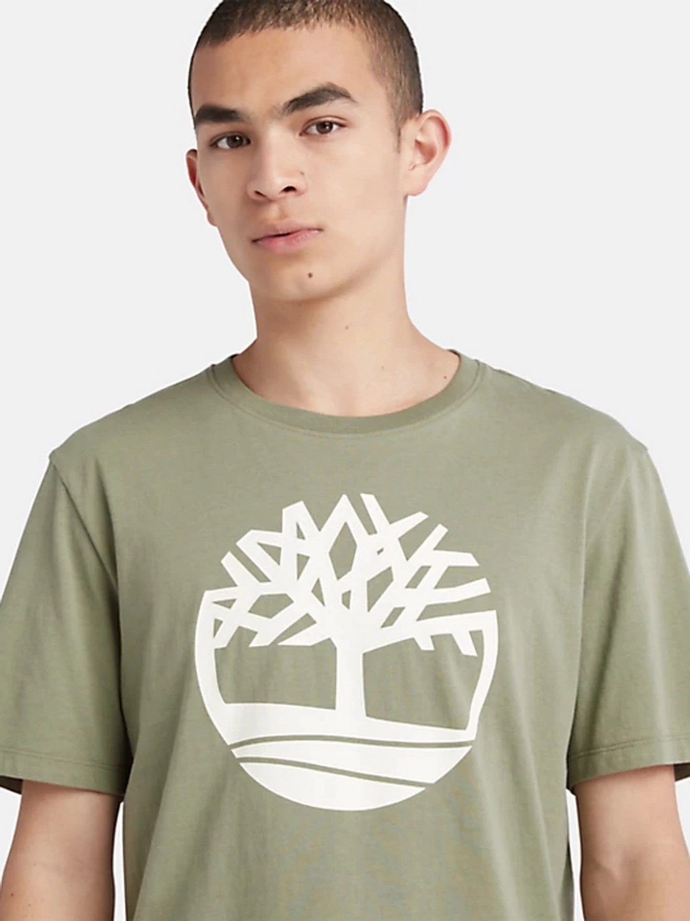 Футболки і поло Timberland Kennebec River Tree Logo модель TB0A2C2R590 Фото