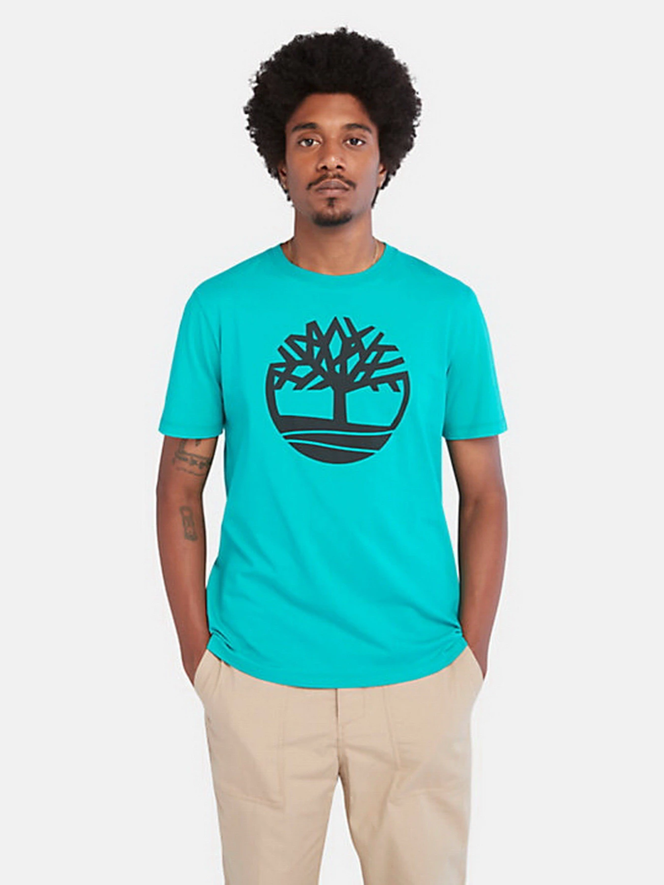 Футболки и поло Timberland Kennebec River Tree Logo модель TB0A2C2RE34 Фото