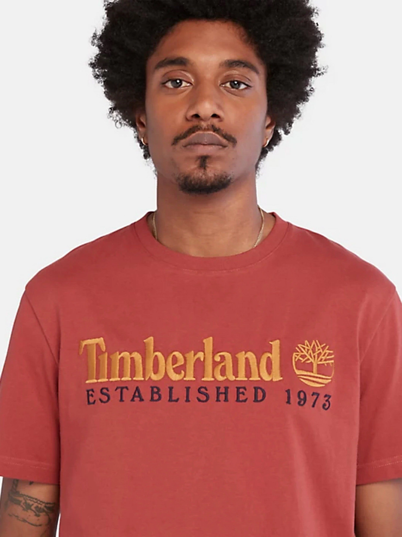Футболки і поло Timberland Outdoor Est.1973 Linear Logo модель TB0A2CMADH9 Футболки і поло Timberland Outdoor Est.1973 Linear Logo модель TB0A2CMADH9 Фото