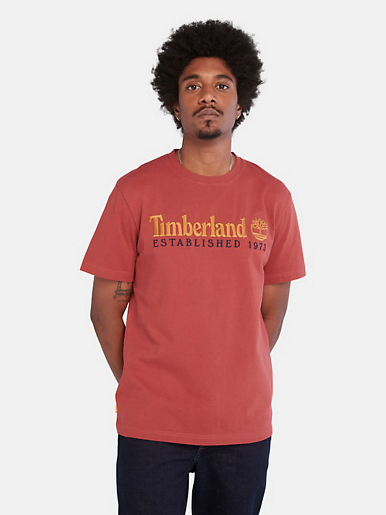 Футболки і поло Timberland Outdoor Est.1973 Linear Logo модель TB0A2CMADH9 Футболки і поло Timberland Outdoor Est.1973 Linear Logo модель TB0A2CMADH9 Фото