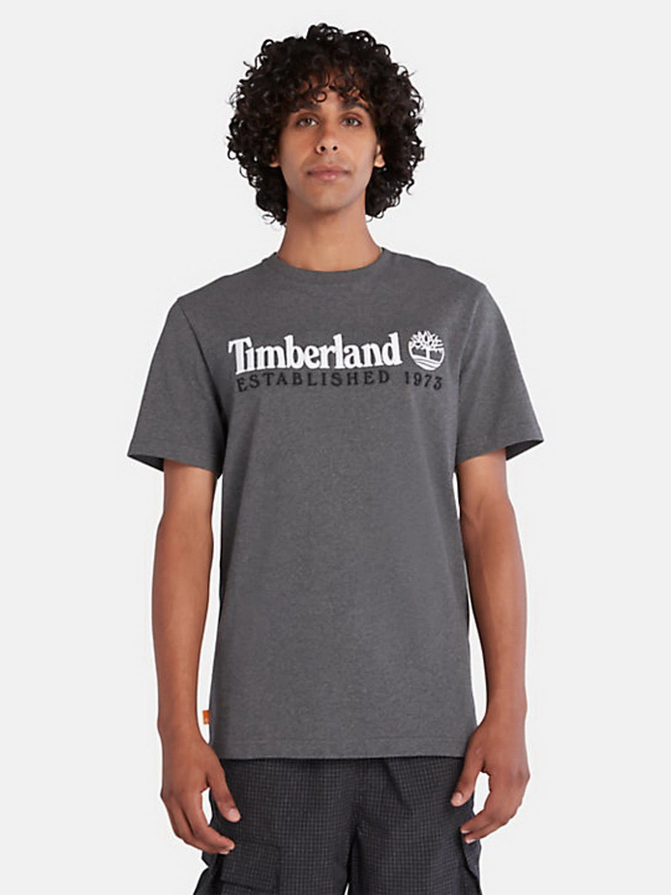 Футболки і поло Timberland Outdoor Est.1973 Linear Logo модель TB0A2CMAU14 Фото