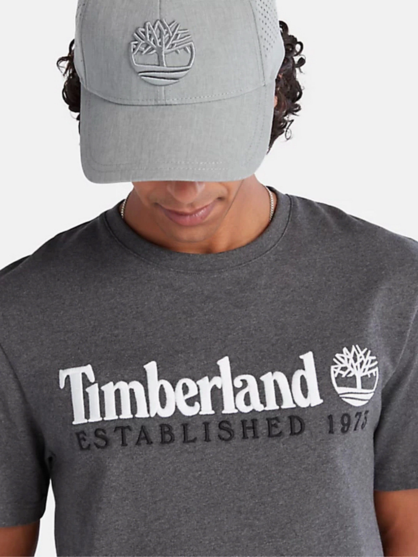 Футболки і поло Timberland Outdoor Est.1973 Linear Logo модель TB0A2CMAU14 Фото