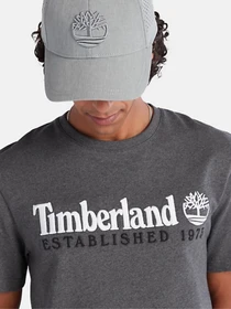 Футболки і поло Timberland Outdoor Est.1973 Linear Logo модель TB0A2CMAU14 Фото