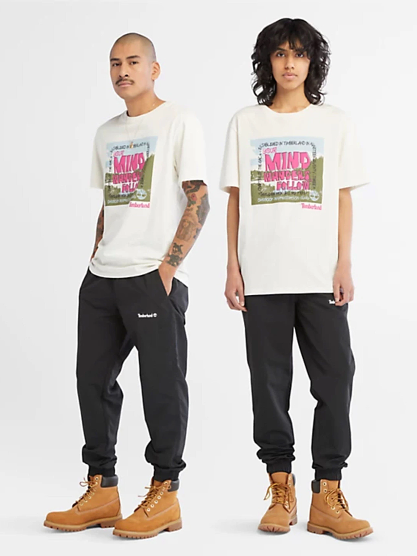Футболки и поло Timberland All Gender Outdoor Graphic модель TB0A68NECM9 Футболки и поло Timberland All Gender Outdoor Graphic модель TB0A68NECM9 Фото
