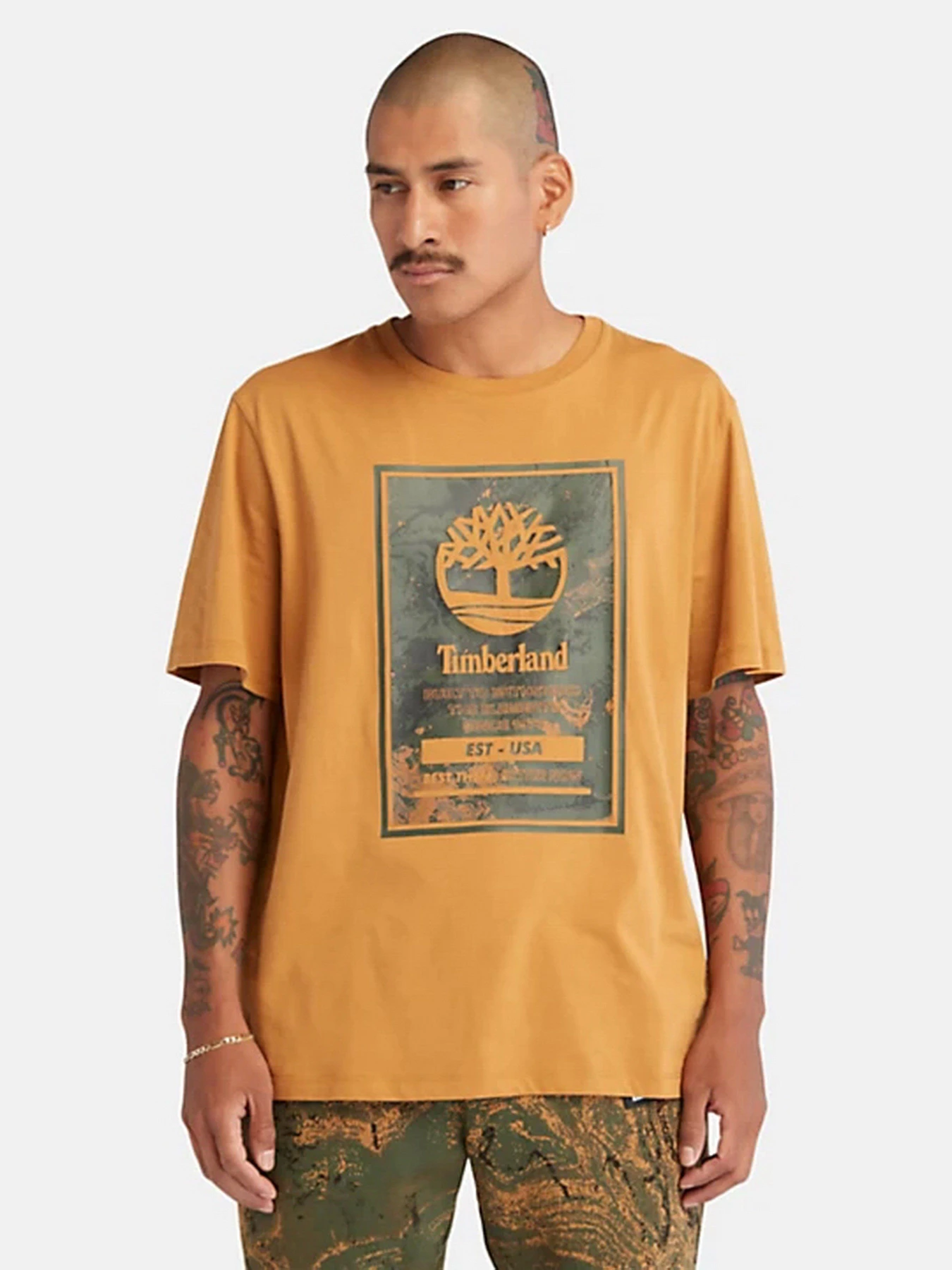 Футболки и поло Timberland Printed Logo модель TB0A66X1P47 Футболки и поло Timberland Printed Logo модель TB0A66X1P47 Фото