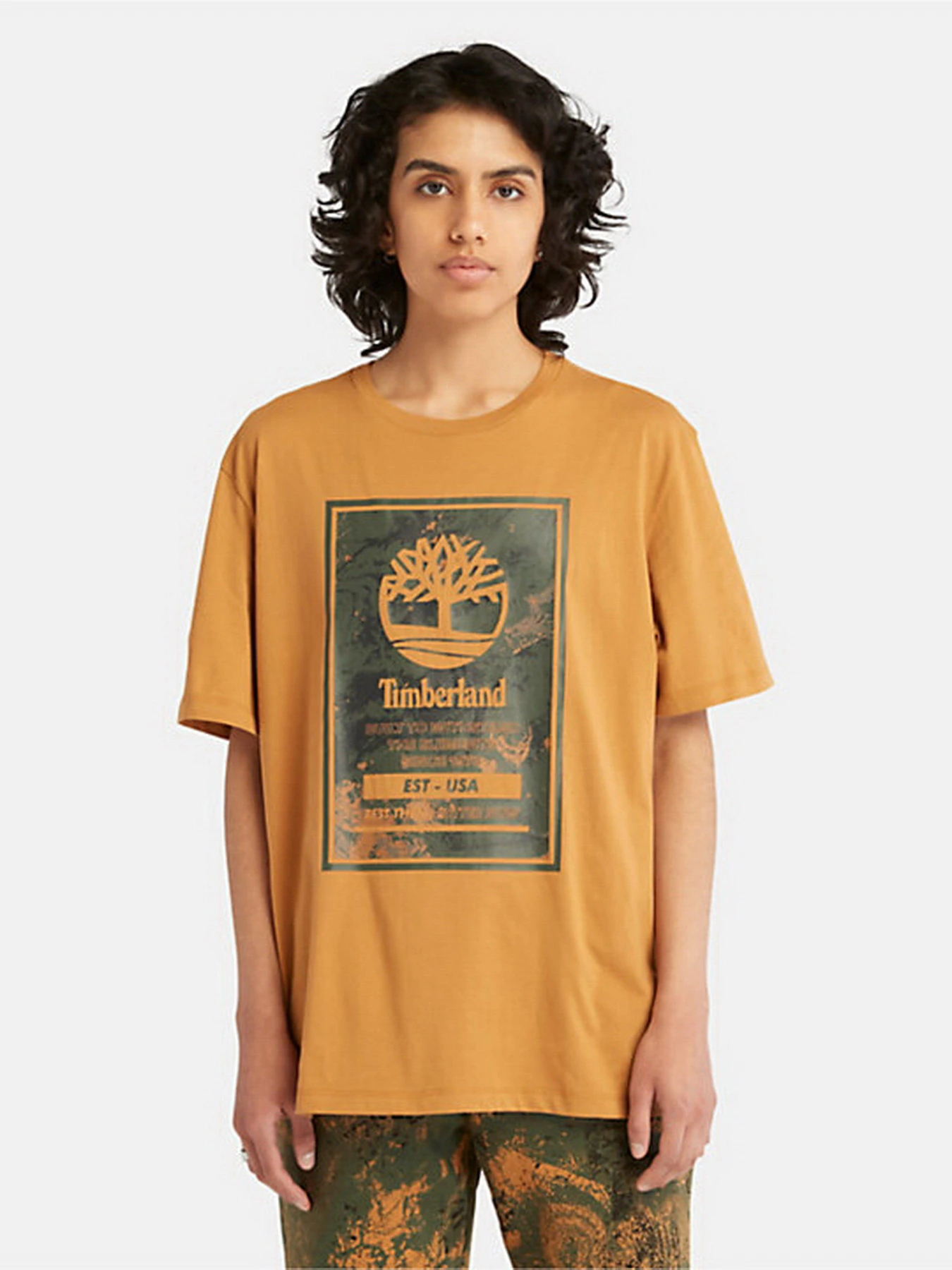Футболки и поло Timberland Printed Logo модель TB0A66X1P47 Футболки и поло Timberland Printed Logo модель TB0A66X1P47 Фото