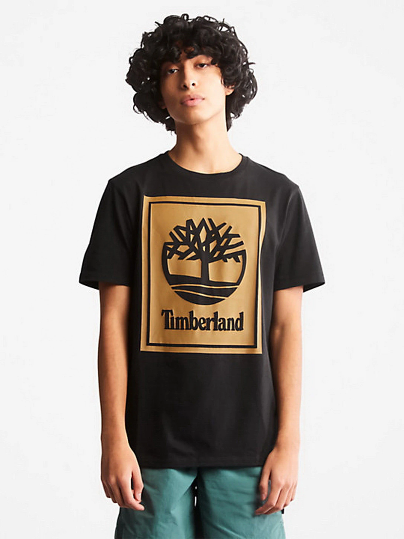 Футболки і поло Timberland Front Stack Logo модель TB0A6CBTP56 Футболки і поло Timberland Front Stack Logo модель TB0A6CBTP56 Фото