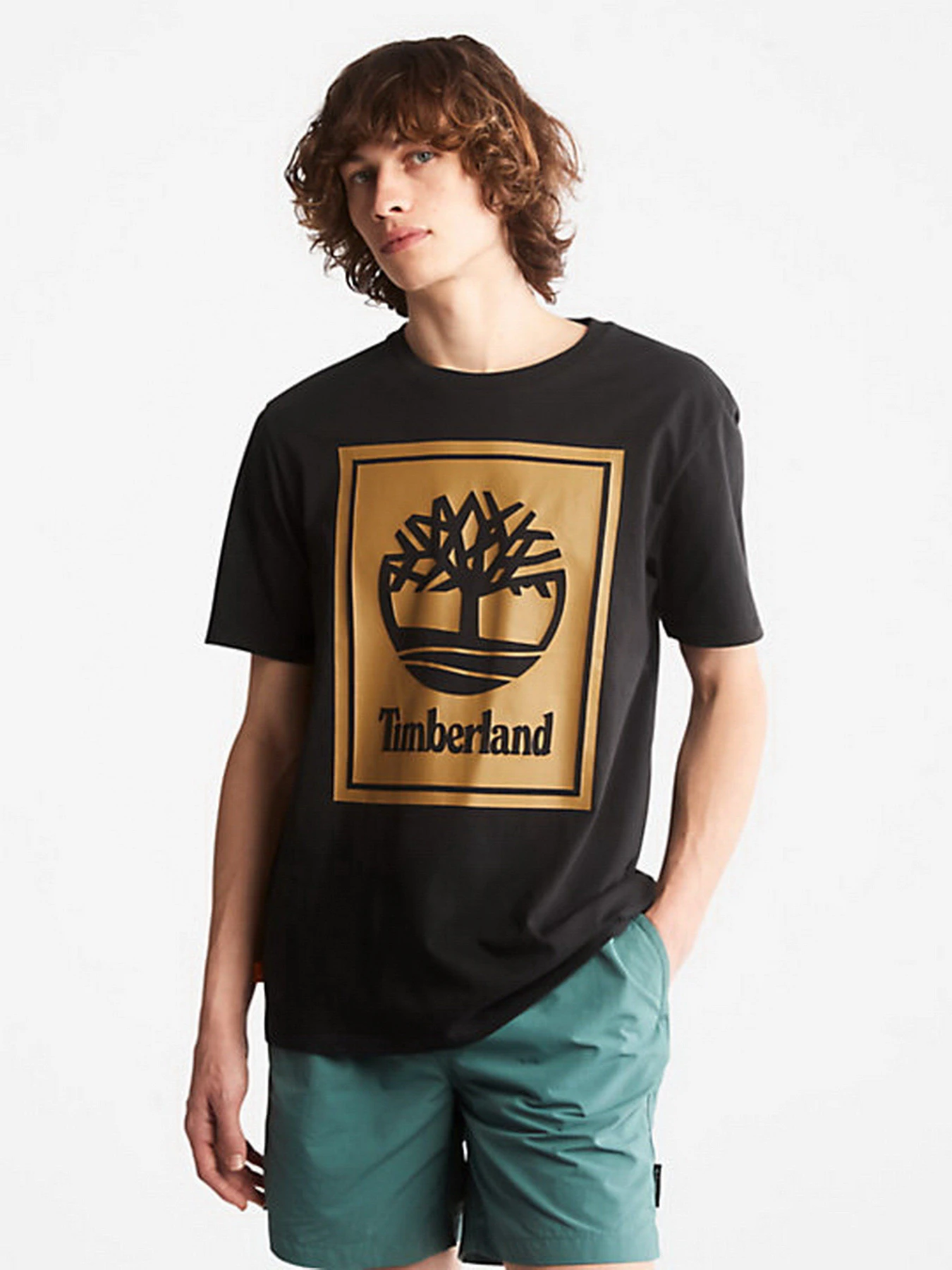 Футболки і поло Timberland Front Stack Logo модель TB0A6CBTP56 Футболки і поло Timberland Front Stack Logo модель TB0A6CBTP56 Фото