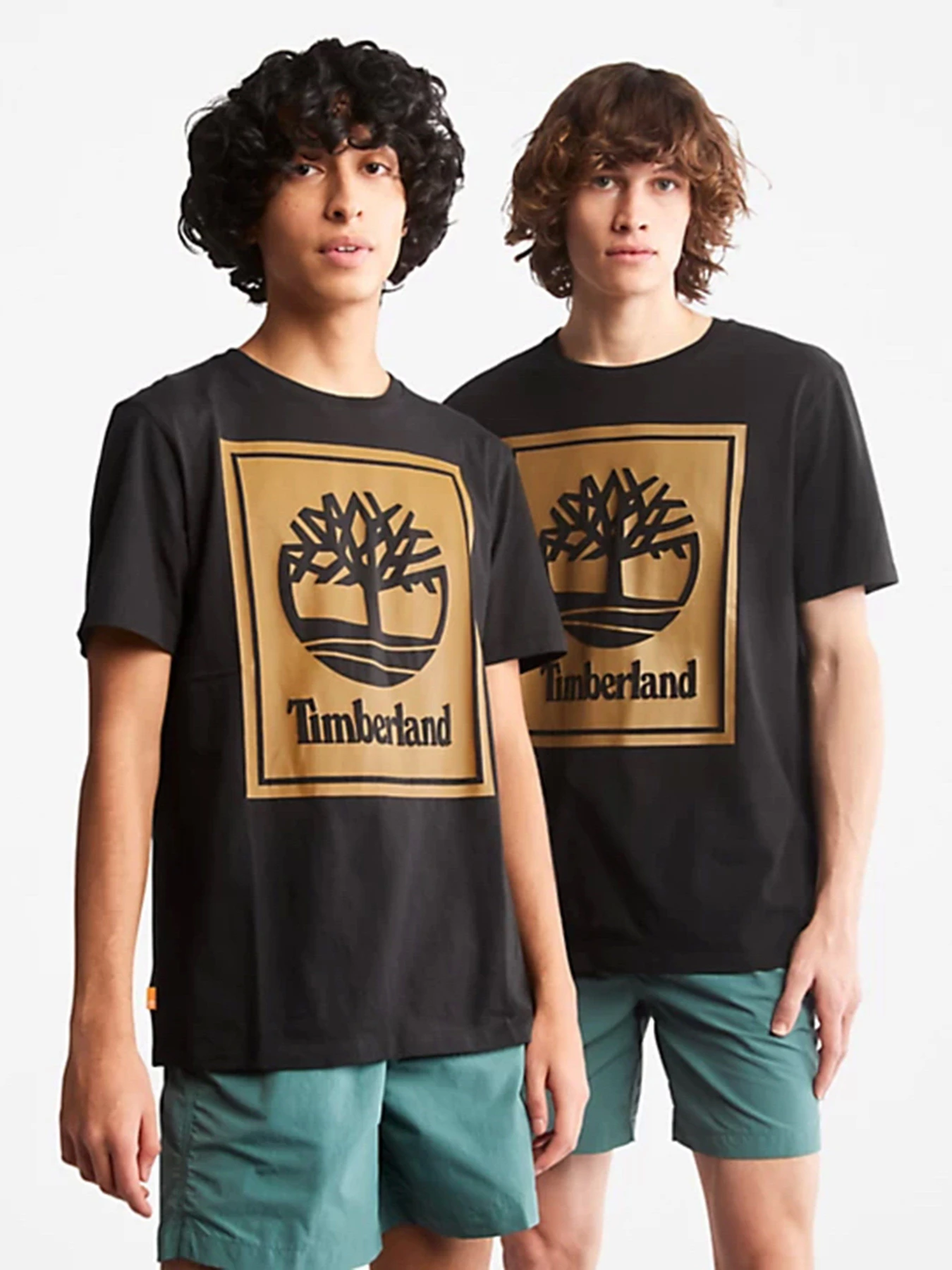 Футболки і поло Timberland Front Stack Logo модель TB0A6CBTP56 Футболки і поло Timberland Front Stack Logo модель TB0A6CBTP56 Фото