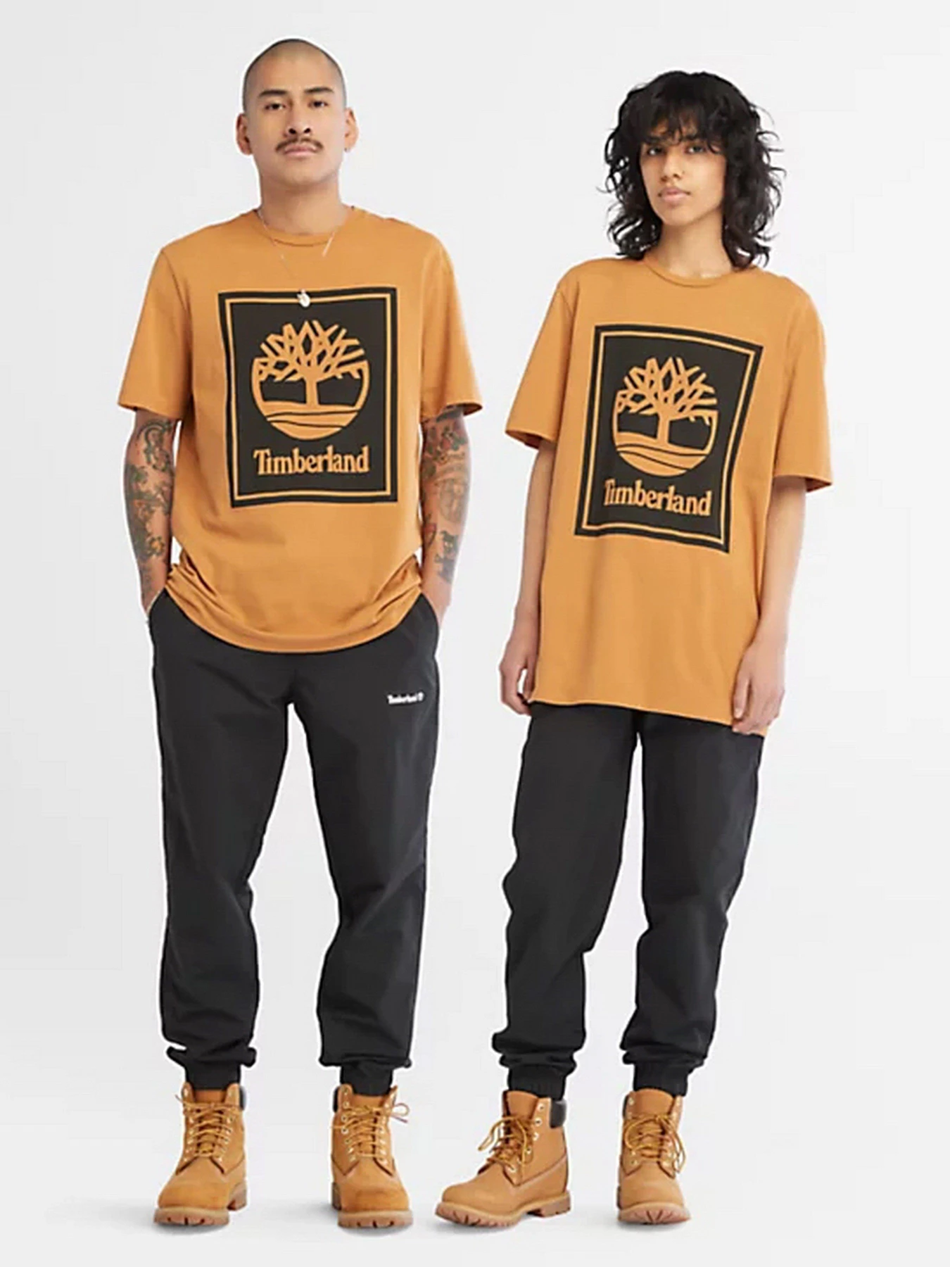 Футболки и поло Timberland Front Stack Logo модель TB0A6CBTP57 Фото