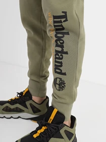 Брюки Timberland WWES модель TB0A27HY590 Фото